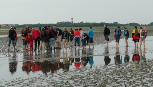 2011 0615 wattenmeer kl